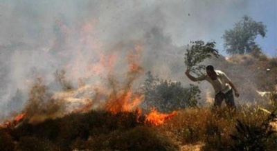 Los Colonos incendian terrenos cerca de una mezquita al este de Ramallah; otros roban tuberías de agua en el norte del Valle del Jordán