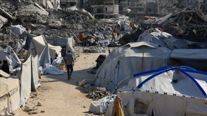 Gaza se derrite bajo las tiendas: Desplazados entre el sol abrasador y una hambruna que asedia la vida
