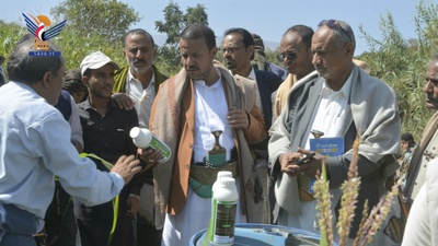 Taiz – Lanzamiento de un bioaislante de fabricación local en plantaciones de maíz de Khadir