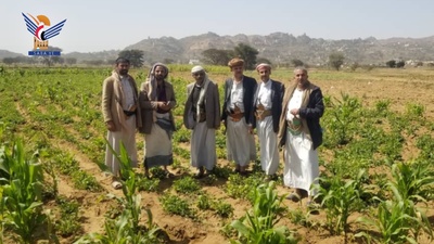 Al Mahwit: Un equipo de ingenieros está estudiando la implementación de redes de riego en las presas Damat y Halwan en el distrito de Al Rujm.